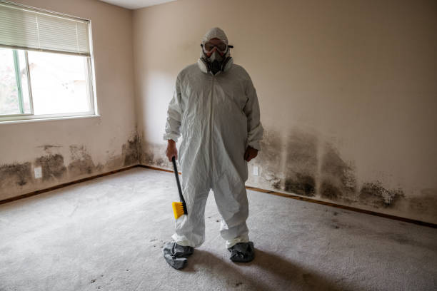 Professional Mold Remediation in Littleton Common, MA